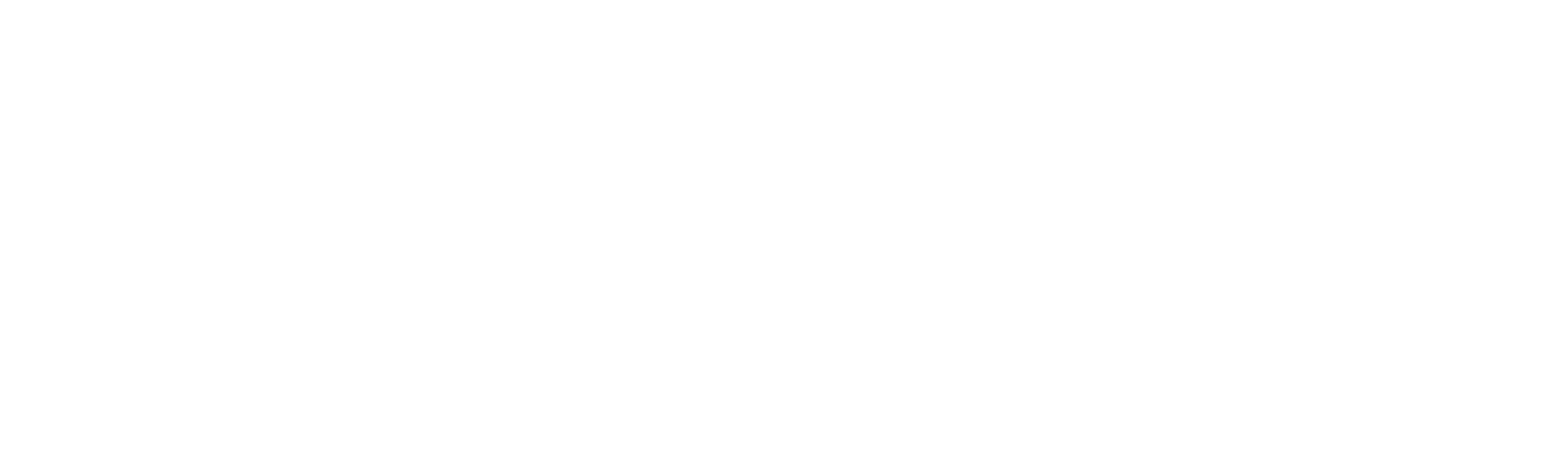 Aether Immersive - Wordmark - white