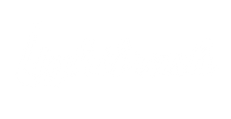 Lightbrush